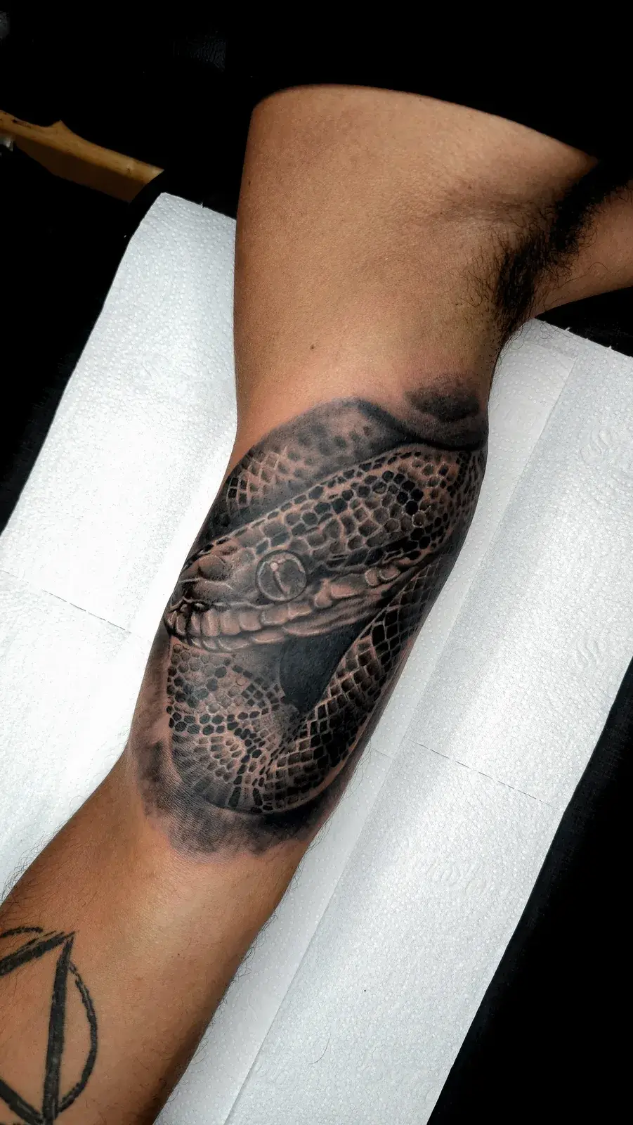 Tatuagem de serpente em preto e cinza com escamas detalhadas na perna