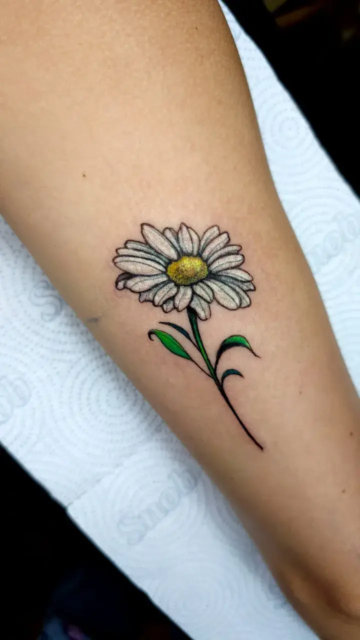 Tatuagem botânica de margarida com miolo amarelo e folhas verdes no antebraço