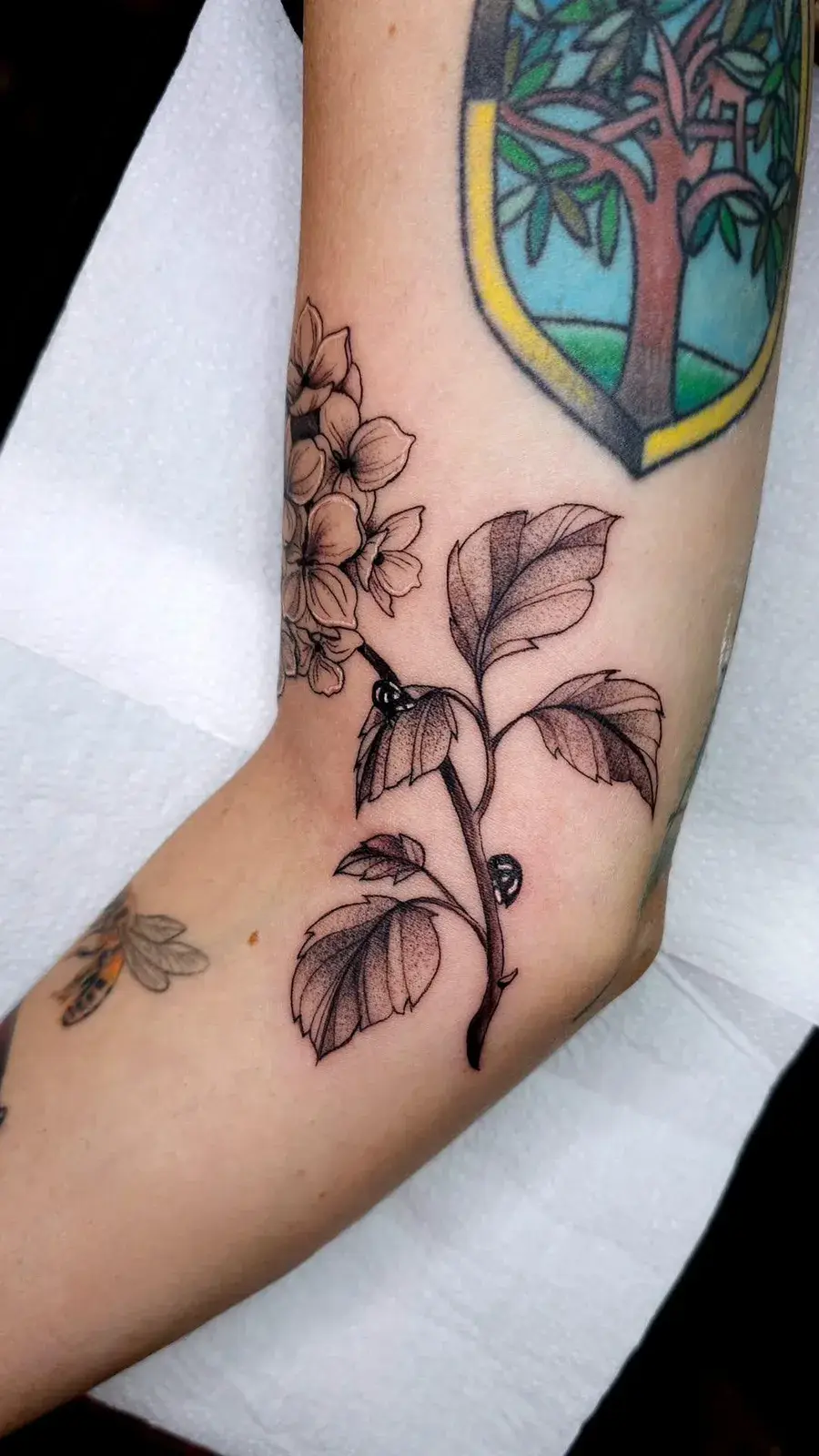 Tatuagem botânica de ramo de buquê-de-noiva em traço fino no braço, acima do cotovelo