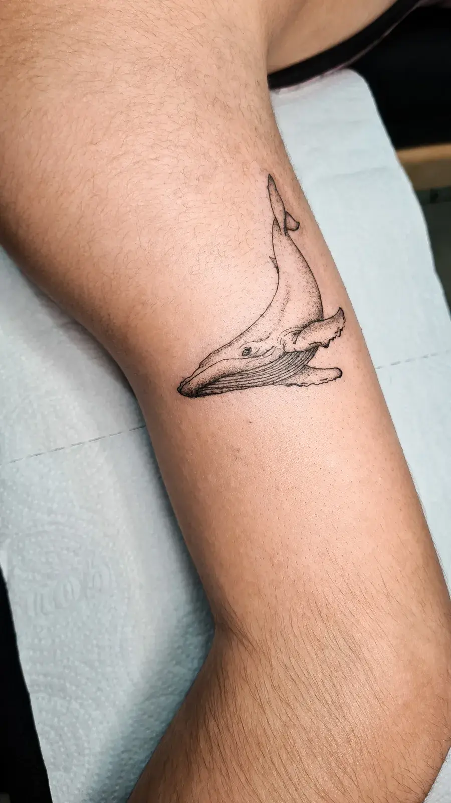 Tatuagem fine line de baleia jubarte em pontilhismo no antebraço