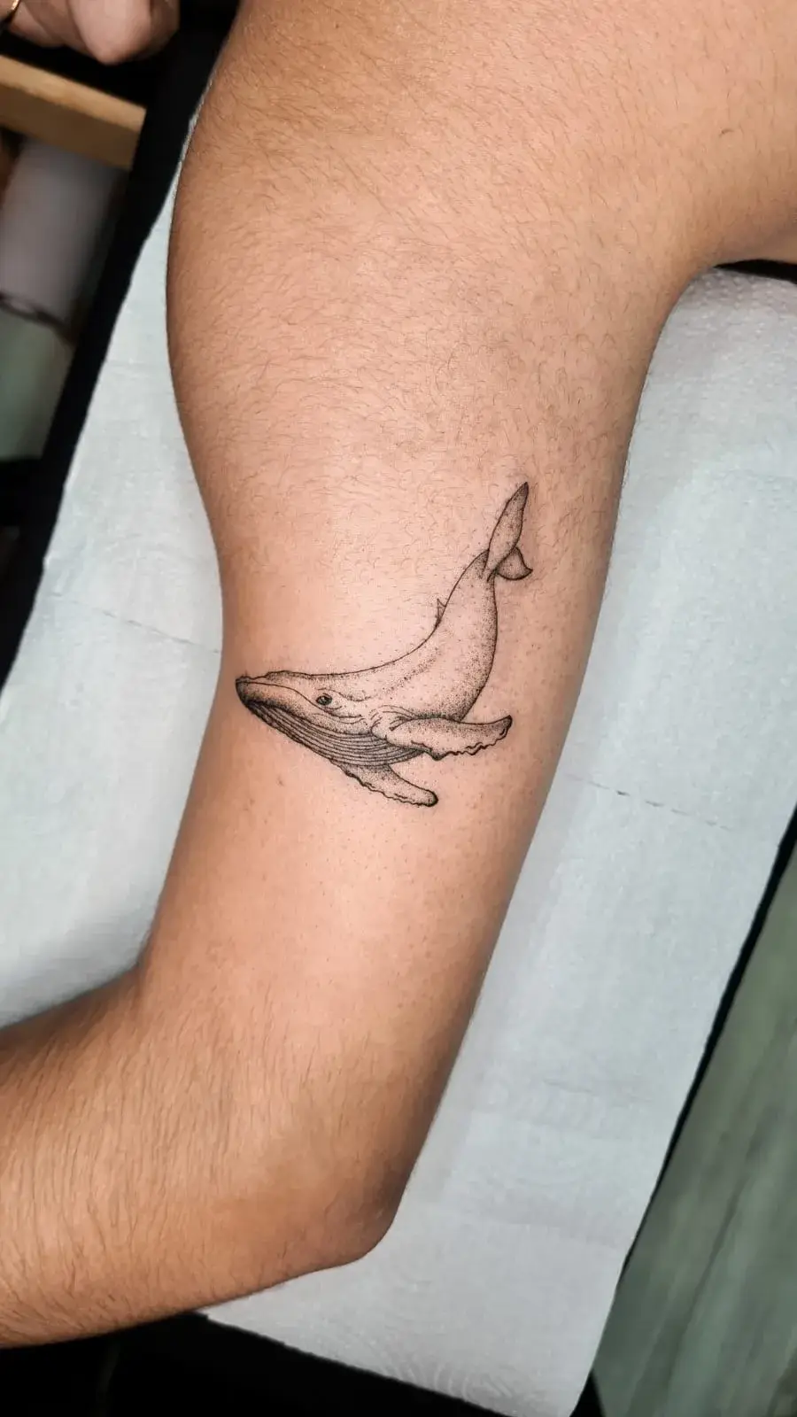 Tatuagem fine line de baleia jubarte em pontilhismo no braço