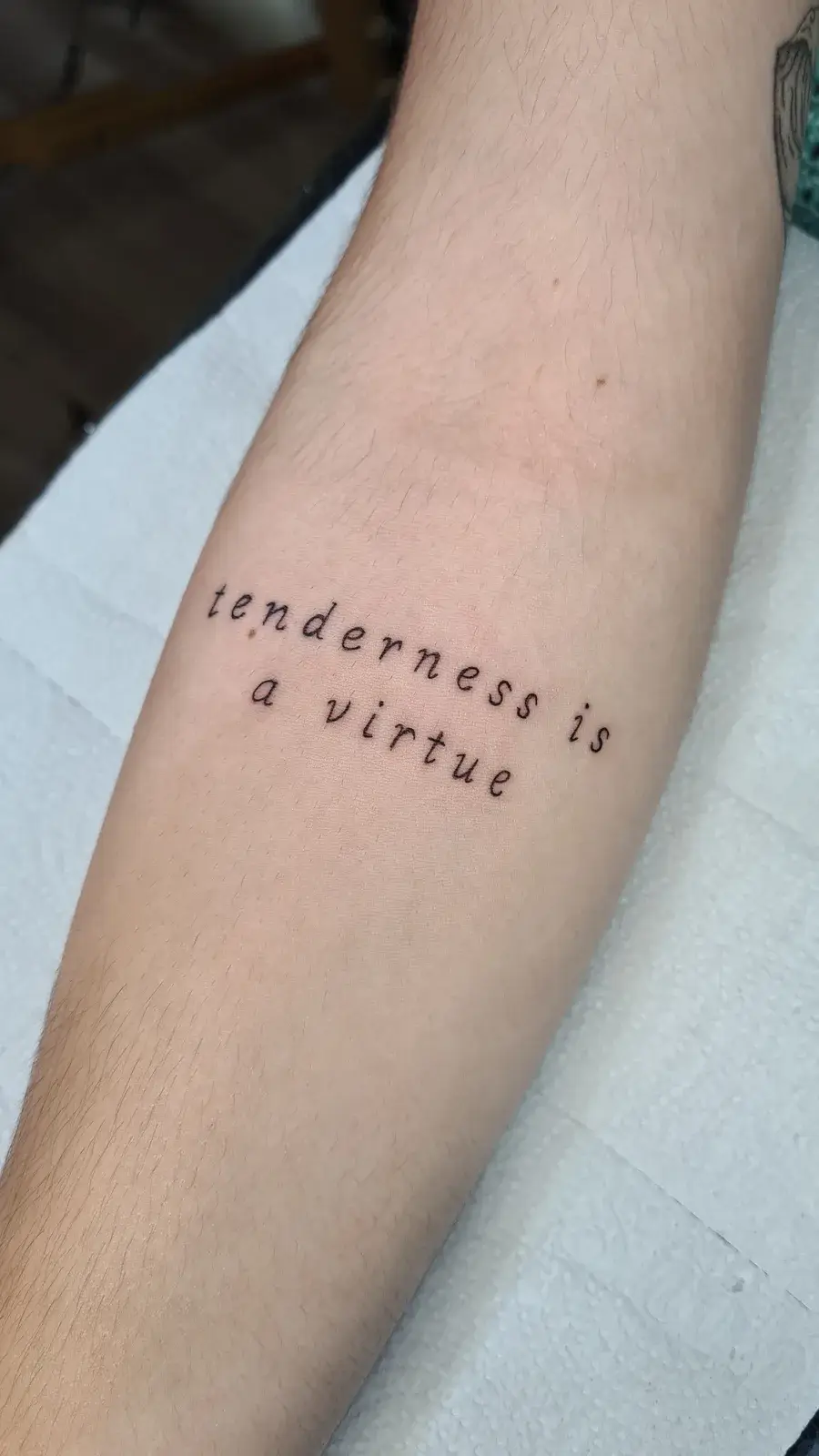Tatuagem fine line com o lettering tenderness is a virtue no antebraço