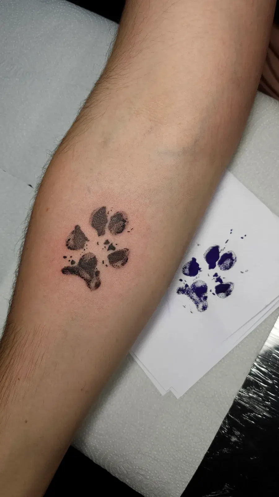 Tatuagem fine line com a impressão da patinha de um cachorro, no antebraço